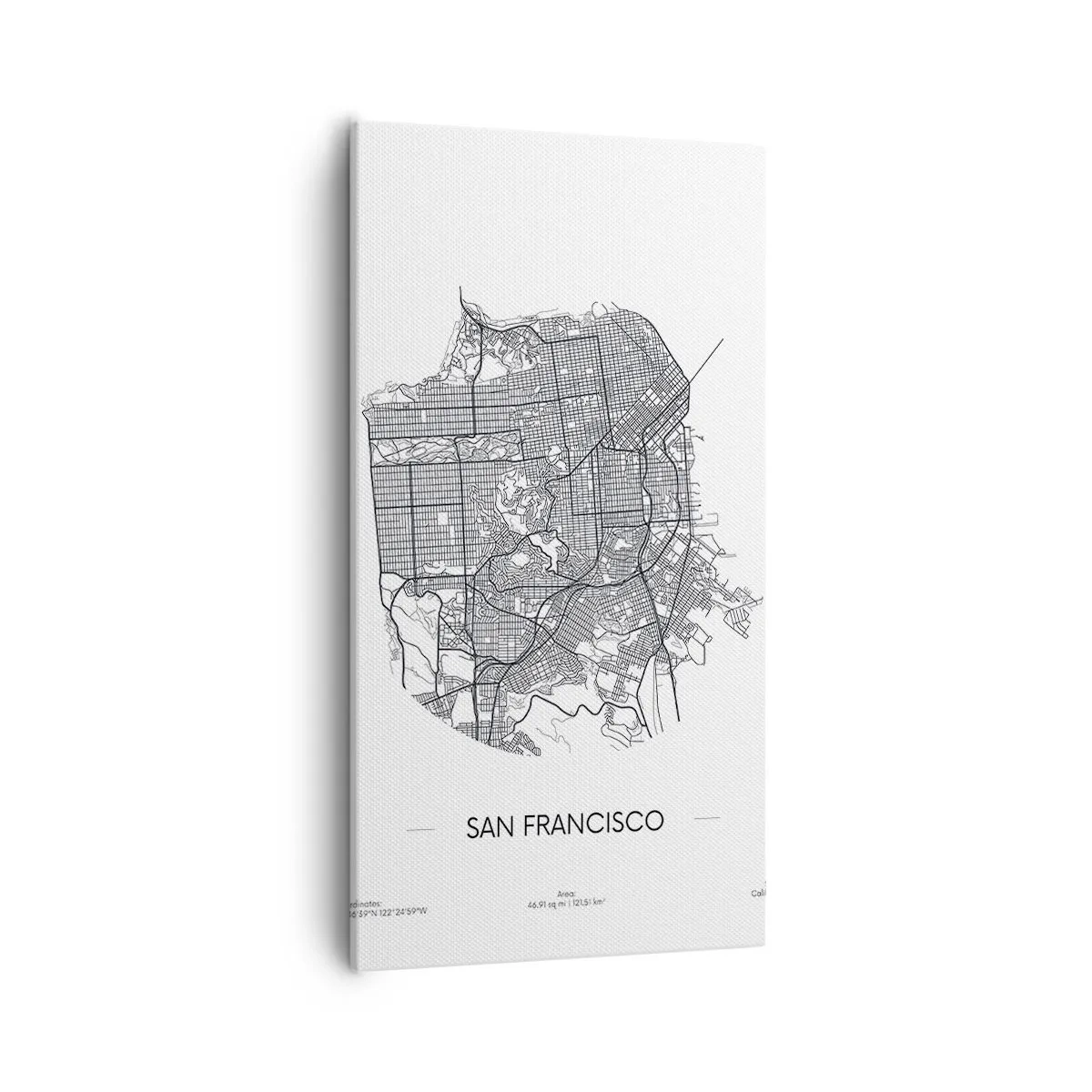 Canvas picture - Anatomy of San Francisco - 55x100 cm