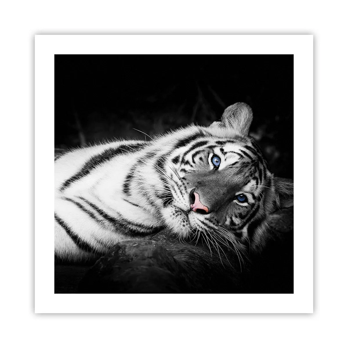 Poster - Wilderness and Calm - 50x50 cm