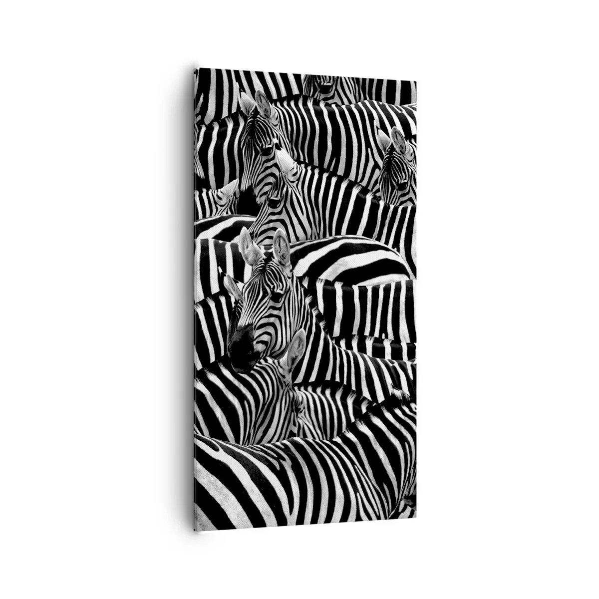 Canvas picture - Striped Group Portrait - 65x120 cm