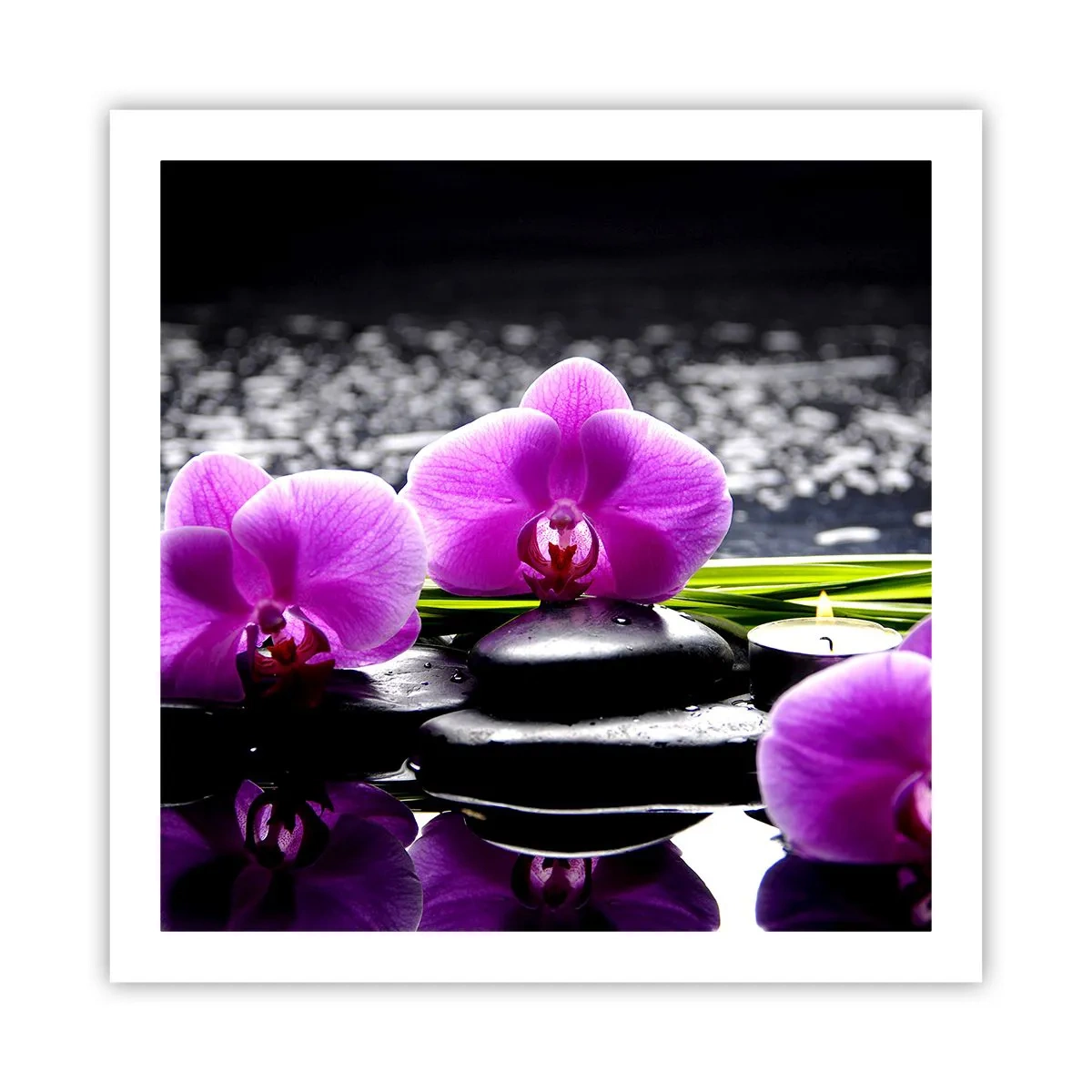 Poster - Drowning in Peace and Quiet - 60x60 cm