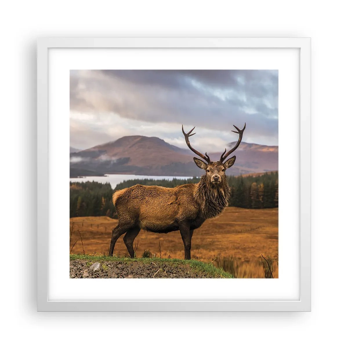 Poster in white frmae - Majesty of Nature - 40x40 cm