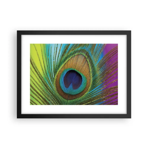 Poster in black frame - Eye to Eye - 40x30 cm