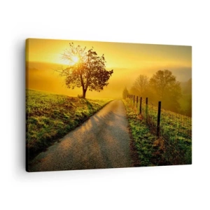Canvas picture - A picturesque road at sunset with a lonely tree in the background - 70x50cm - Honey Afternoon - Modern wall decoration for the living room and bedroom ARTTOR