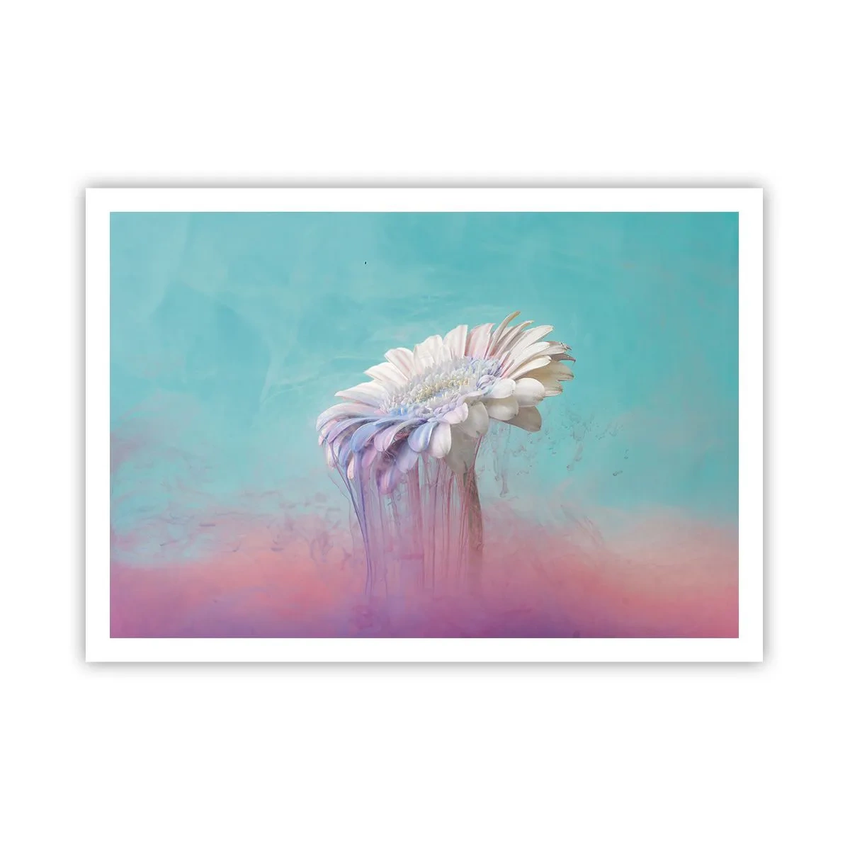 Poster - Afterlife of Flowers - 100x70 cm