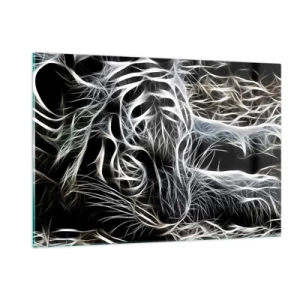 Glass picture - Study in Lightness of Cats - 120x80 cm