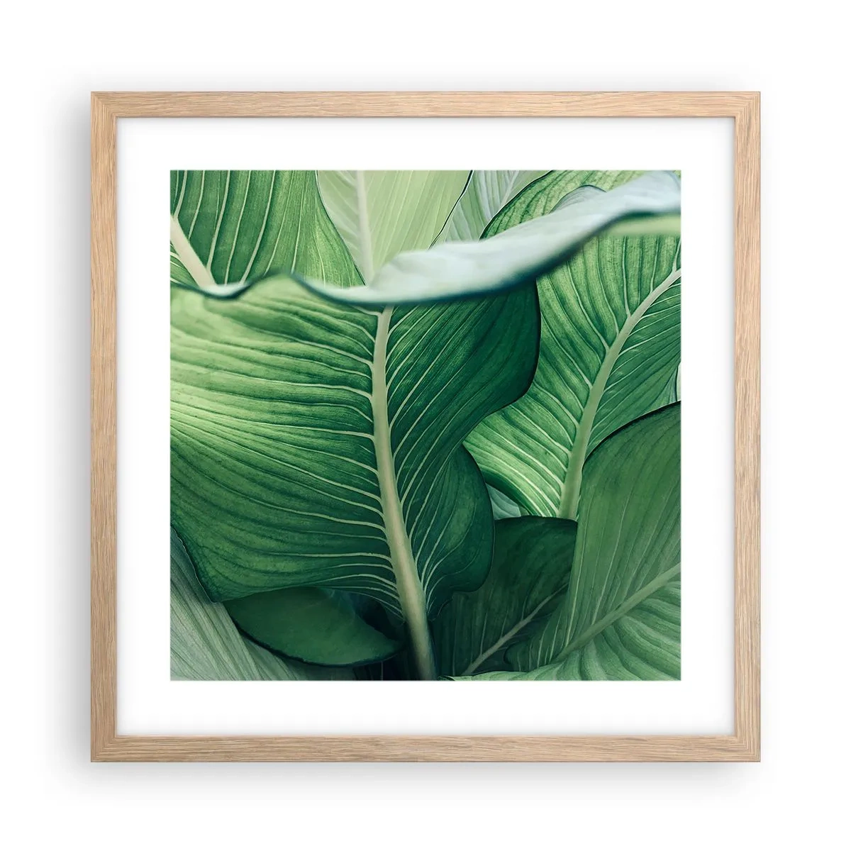 Poster in light oak frame - Life in Intense Green Colour - 40x40 cm