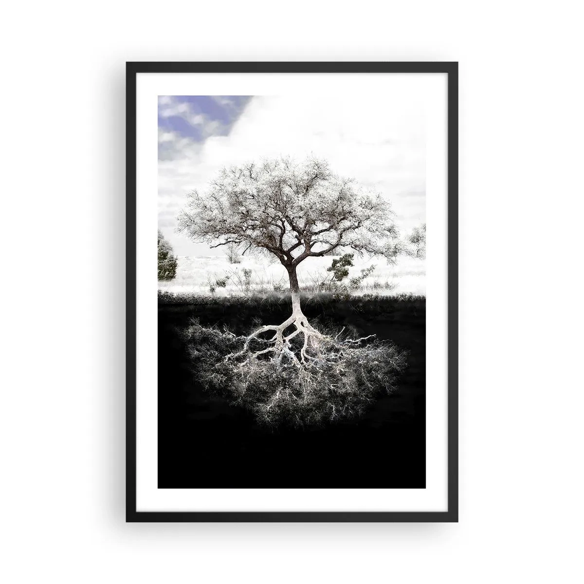 Poster in black frame - A minimalist tree with a visible root system - 50x70cm - Discovery of the Nature of the World - Modern wall decoration for the living room and bedroom ARTTOR