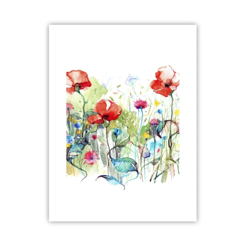 Poster - Meadow in May - 30x40 cm