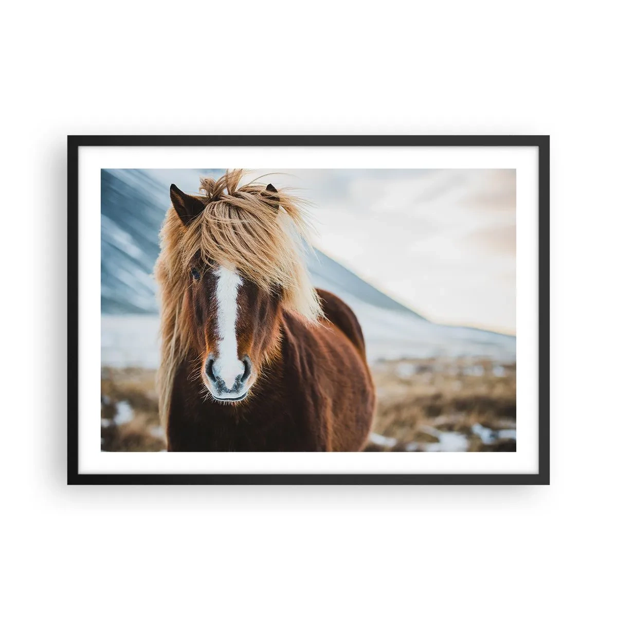 Poster in black frame - Can You Feel the Freedom? - 70x50 cm