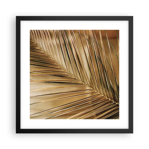 Poster in black frame - Natural Colonnade - 40x40 cm