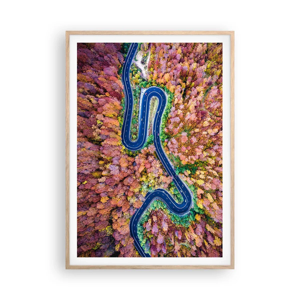 Poster in light oak frame - Winding Path through a Forest - 70x100 cm