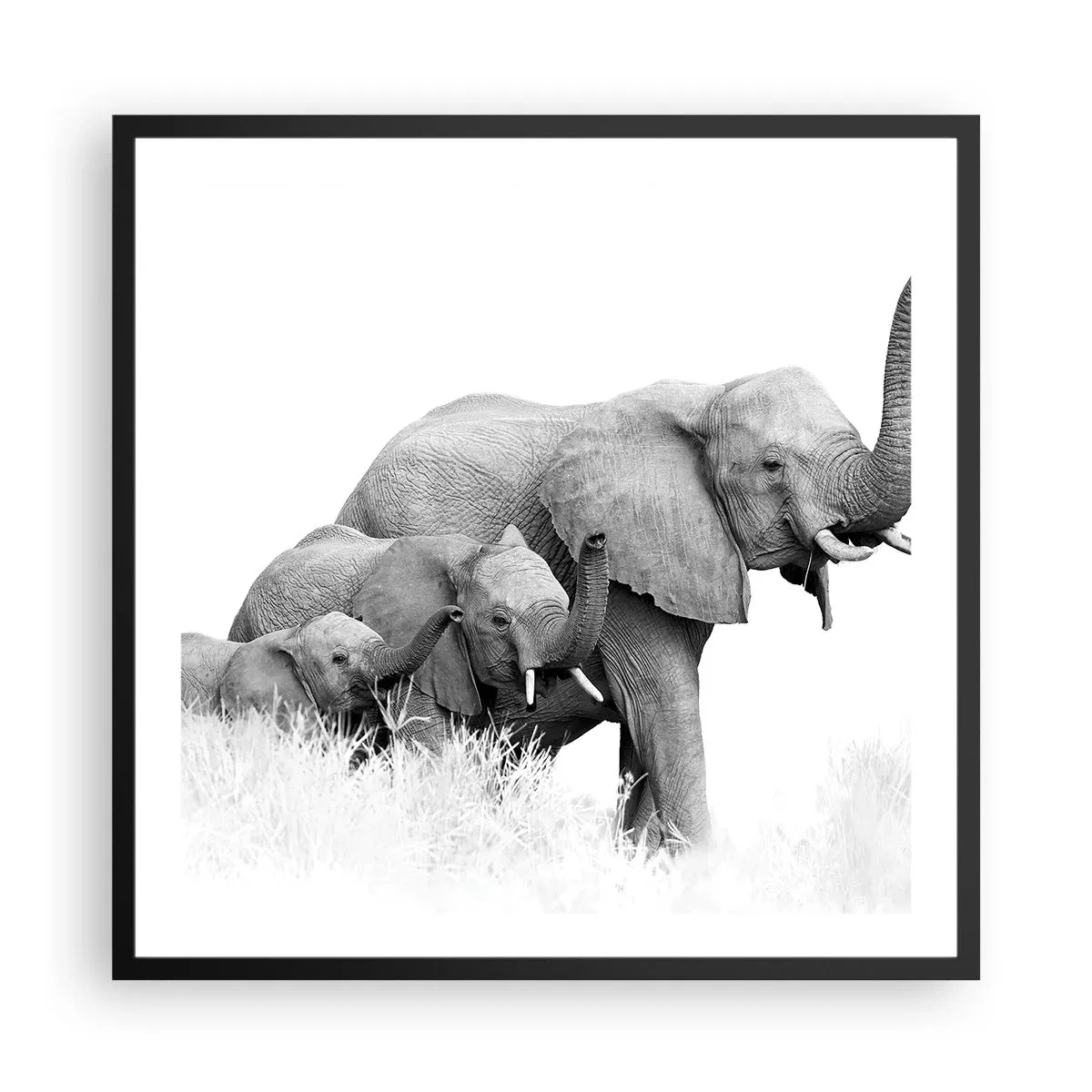 Poster in black frame - One, Two, Three - 60x60 cm