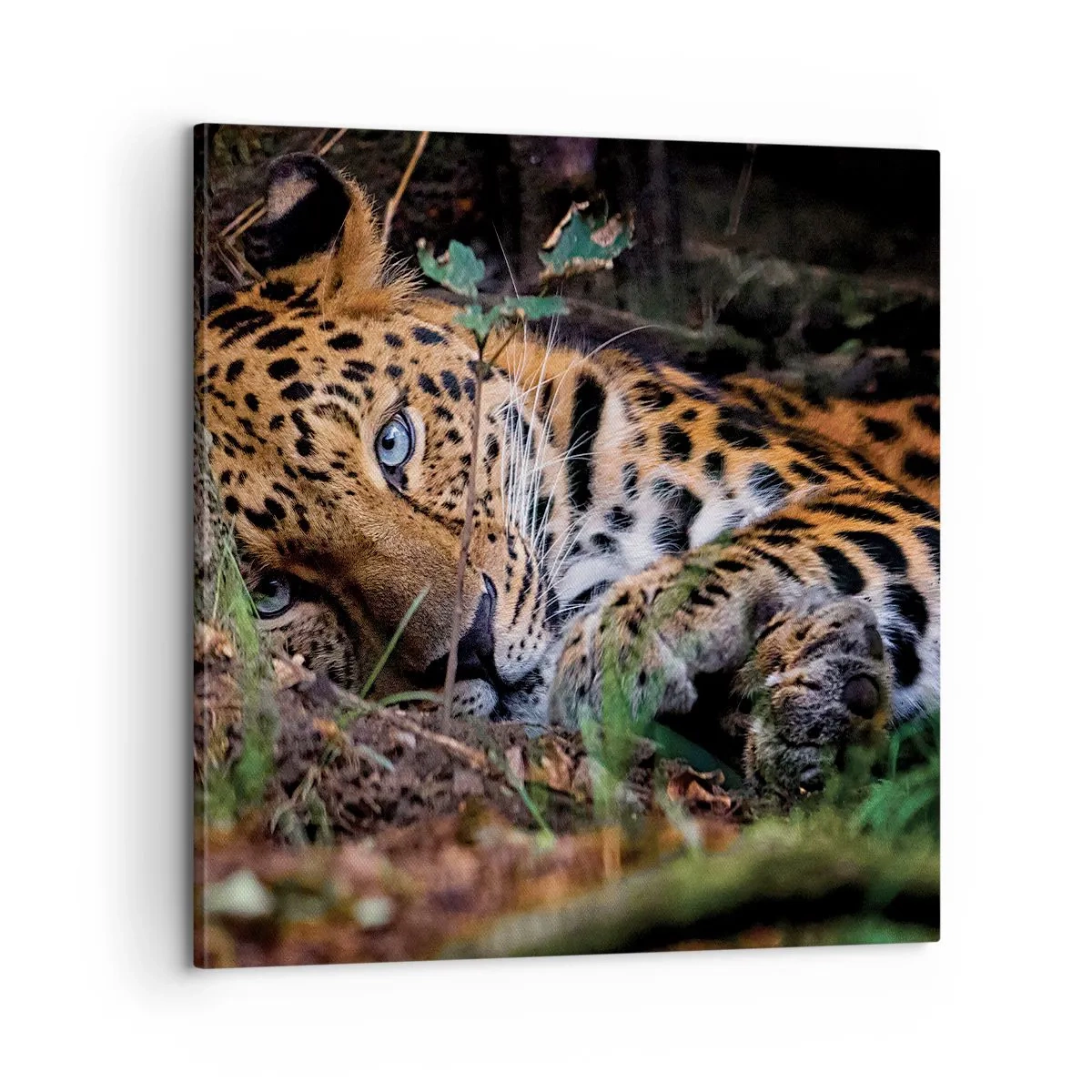 Canvas picture - Trust Me - 60x60 cm