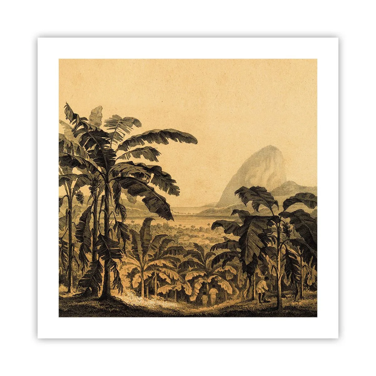Poster - In Colonial Character - 50x50 cm