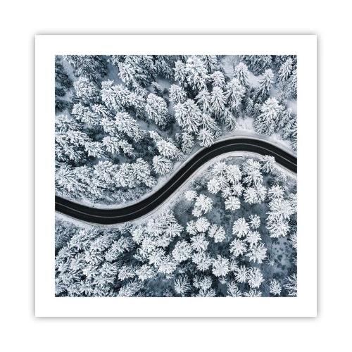 Poster - Through Wintery Forest - 50x50 cm