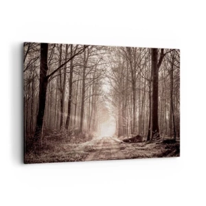 Canvas picture - Cathedral of the Forest - 120x80 cm