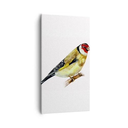 Canvas picture - Bird Portrait - 55x100 cm