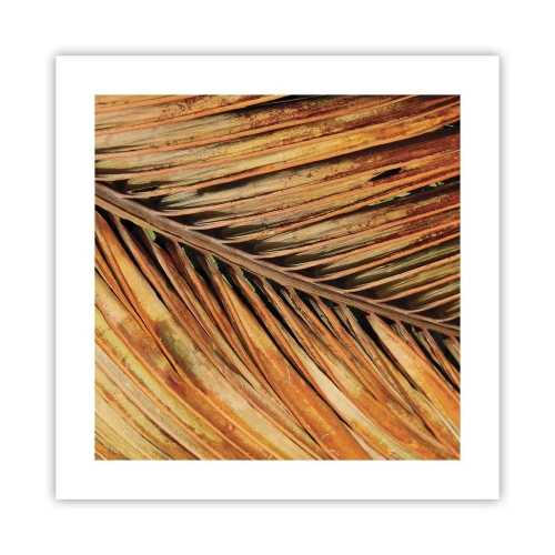 Poster - Coconut Gold - 40x40 cm