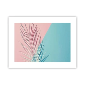 Poster - Tropical impression - 40x30 cm
