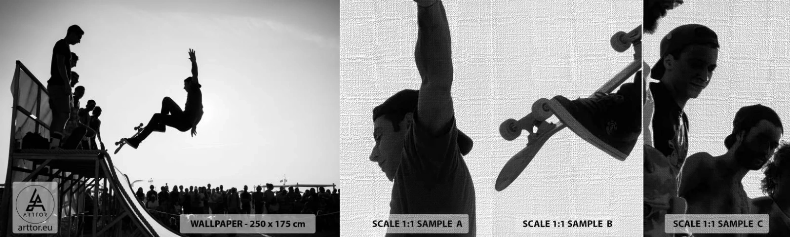 Photo Wallpaper Sample Premium Canvas - Heroes and Spectators - Skatepark, Skateboard, Sport - 100x30 cm