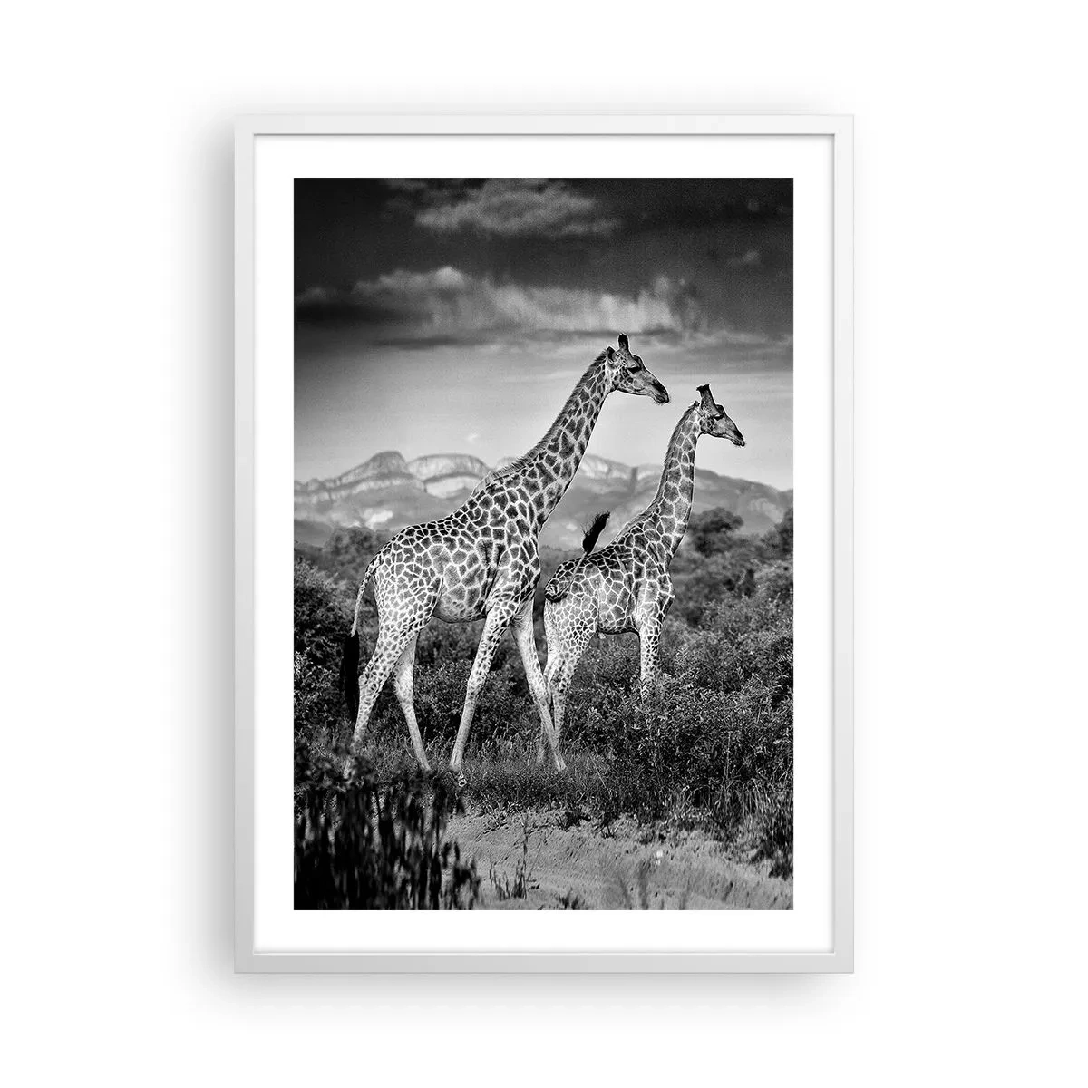 Poster in white frmae - Higher Spheres in Africa - 50x70 cm