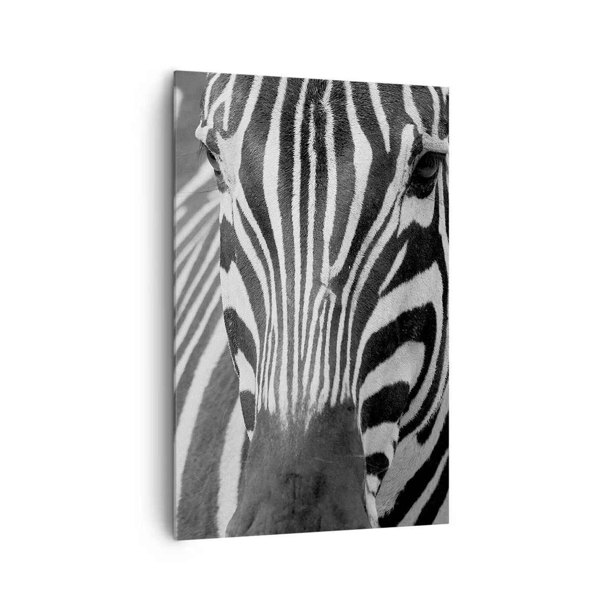 Canvas picture - World Is Black and White - 80x120 cm