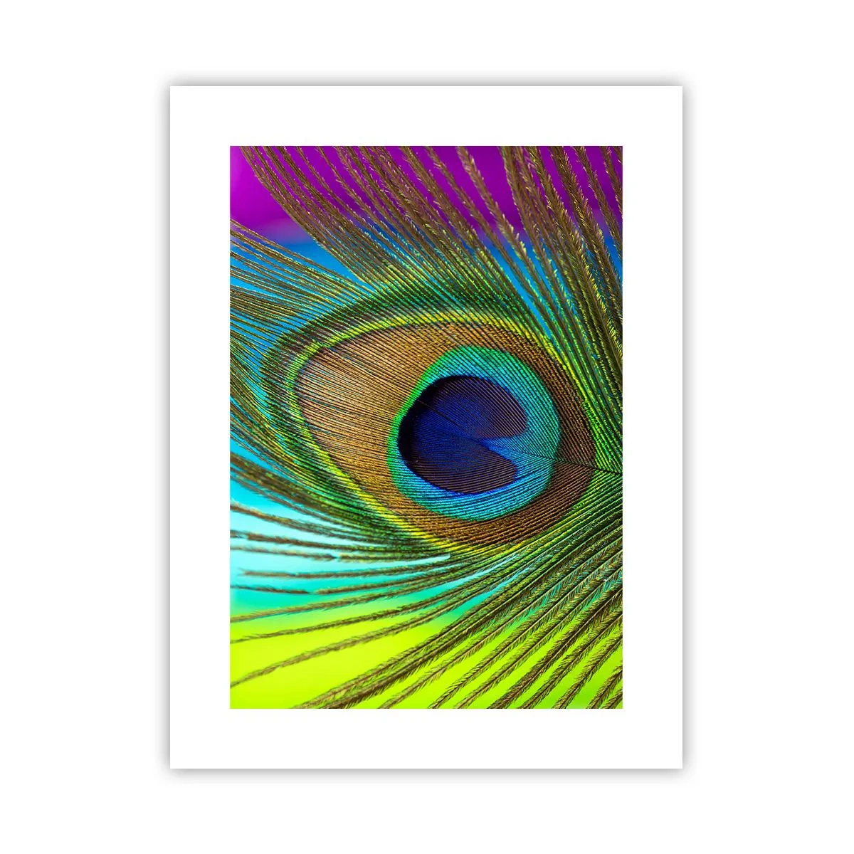 Poster - Eye to Eye - 30x40 cm