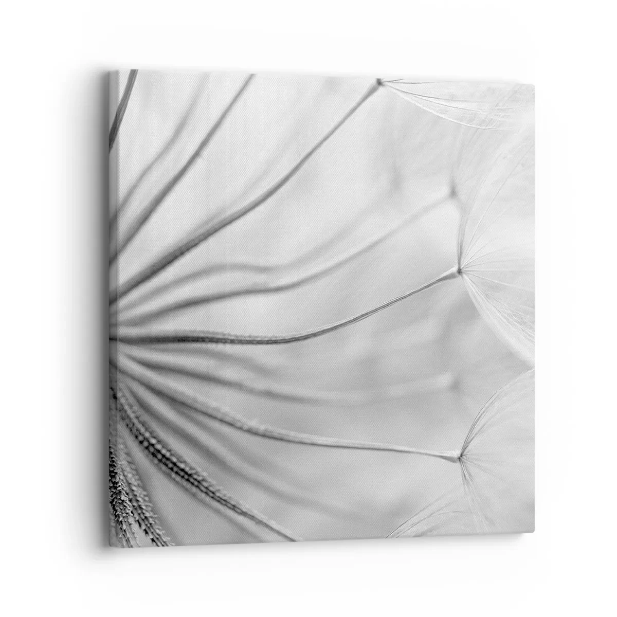 Canvas picture - Dandelion Kites - 30x30 cm