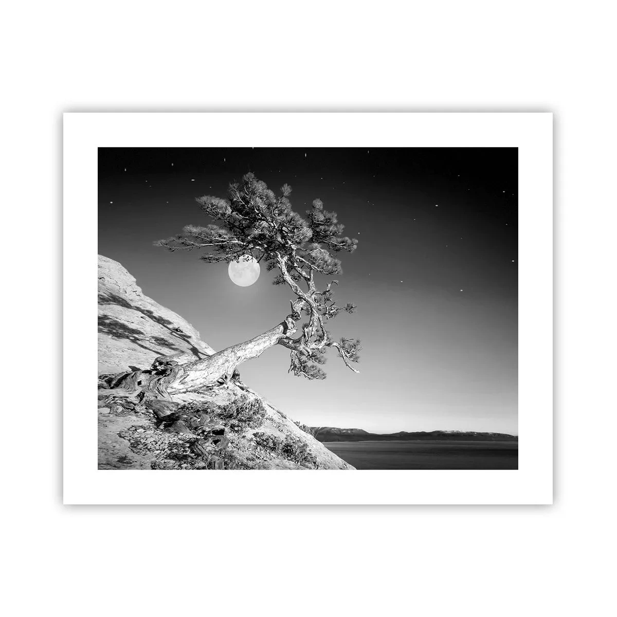 Poster - Winning Warrior - 50x40 cm