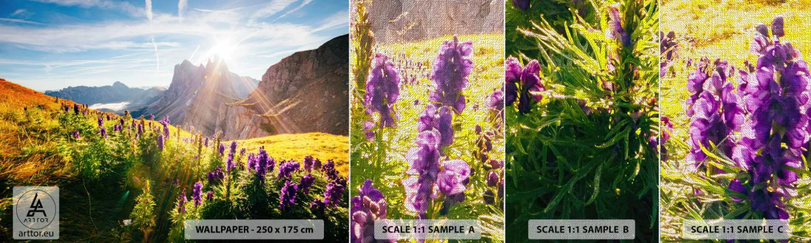 Photo Wallpaper Sample Premium Canvas - Secret Life of Herbs - Landscape, Mountains, Mountain trails - 100x30 cm