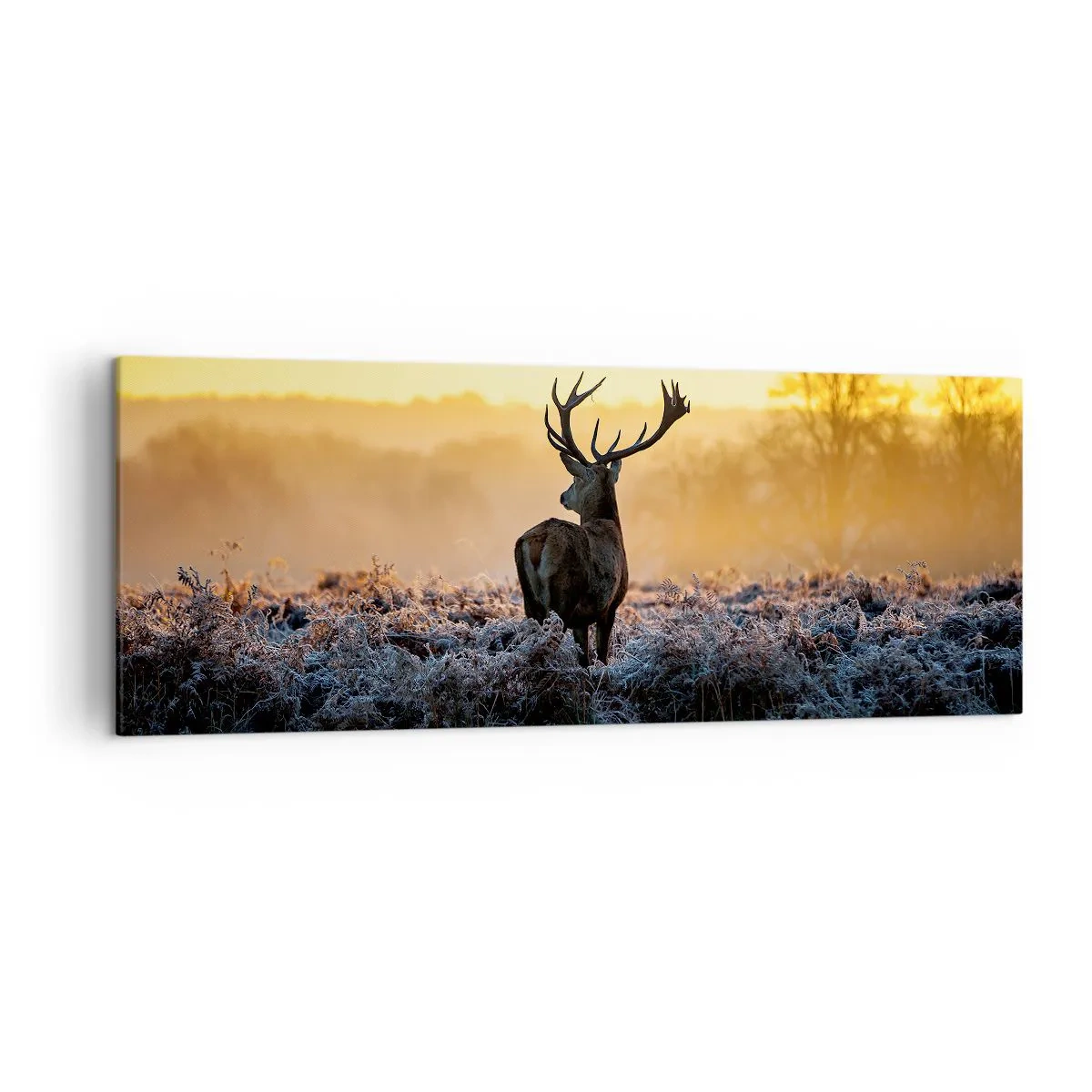 Canvas picture - Crowned in Its Kingdom - 140x50 cm