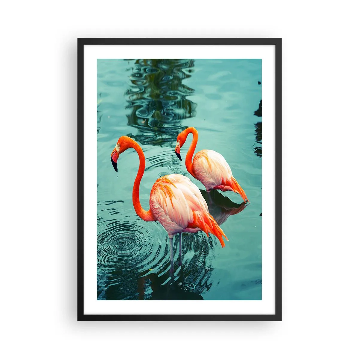 Poster in black frame - Two flamingos against the backdrop of calm water - 50x70cm - We Are En Vogue Now - Modern wall decoration for the living room and bedroom ARTTOR