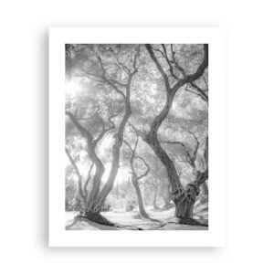 Poster - In an Olive Grove - 40x50 cm