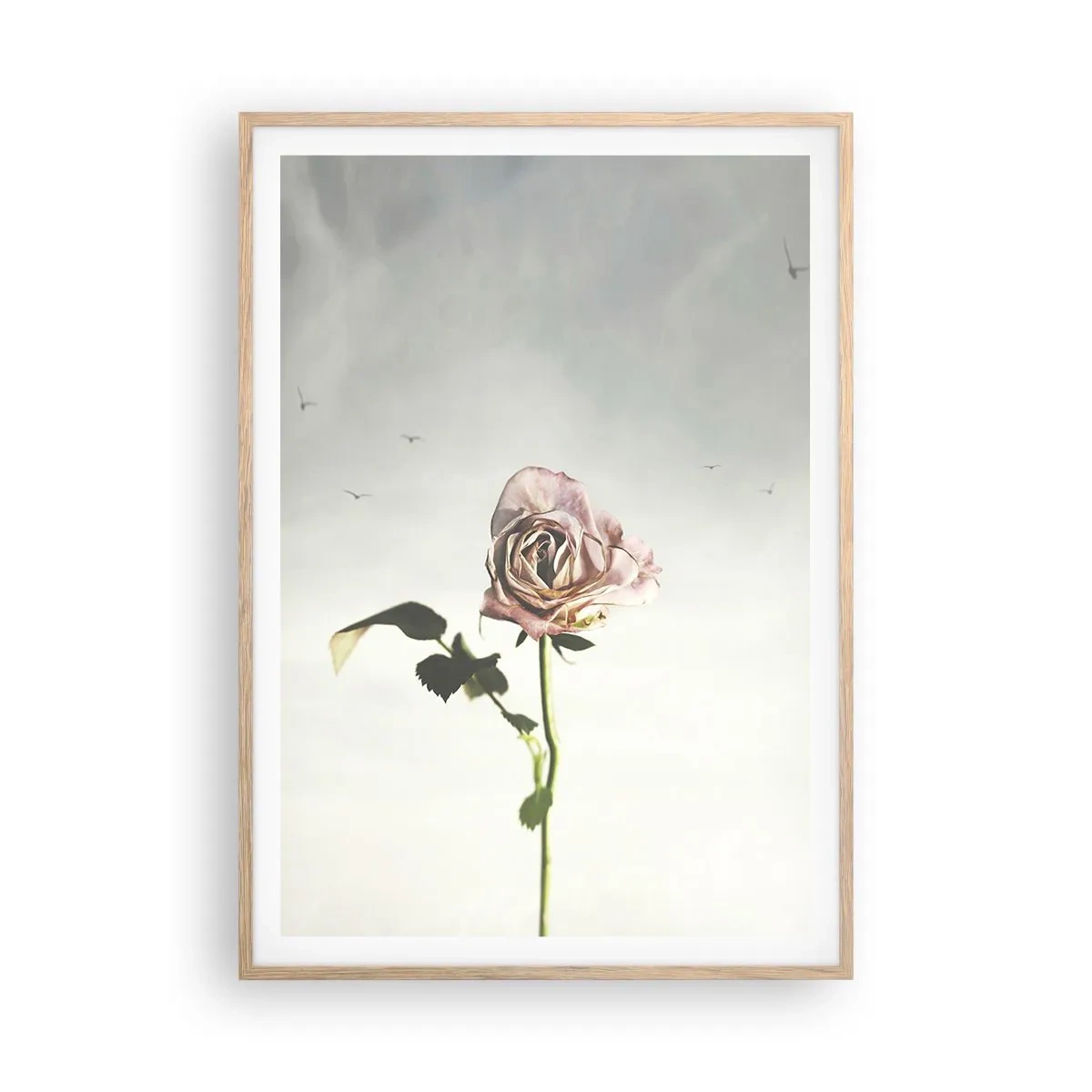 Poster in light oak frame - Welcoming of Spring - 70x100 cm