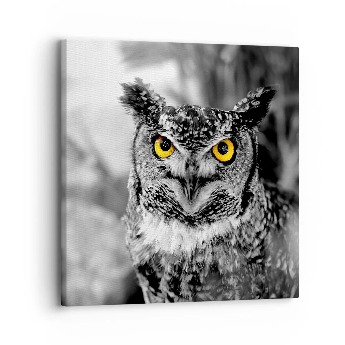 Canvas picture - Nothing Can Hide - 30x30 cm