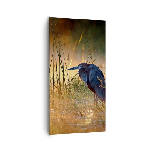 Canvas picture - Stop Taking Pictures - 65x120 cm