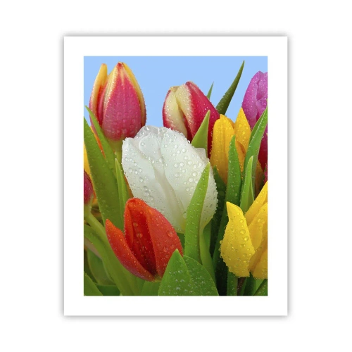 Poster - Floral Rainbow in Dew Drops - 40x50 cm