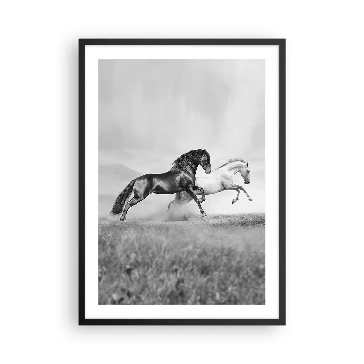 Poster in black frame - Black and white horses galloping dynamically against a field background - 50x70cm - Angels and Demons - Modern wall decoration for the living room and bedroom ARTTOR
