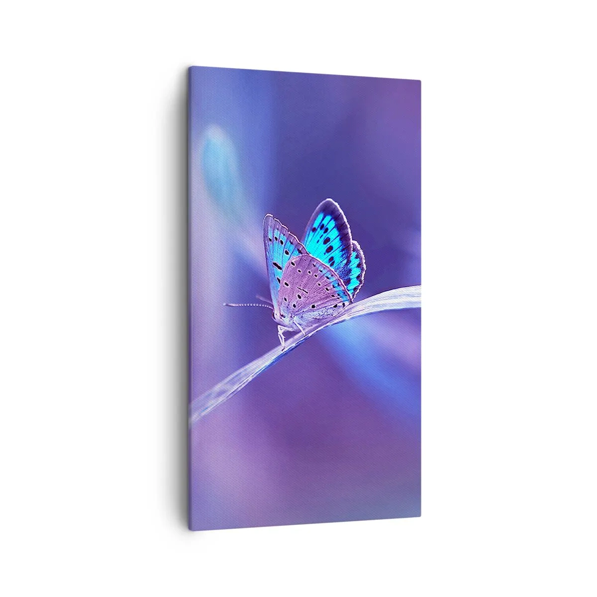 Canvas picture - Jewel of Nature - 45x80 cm