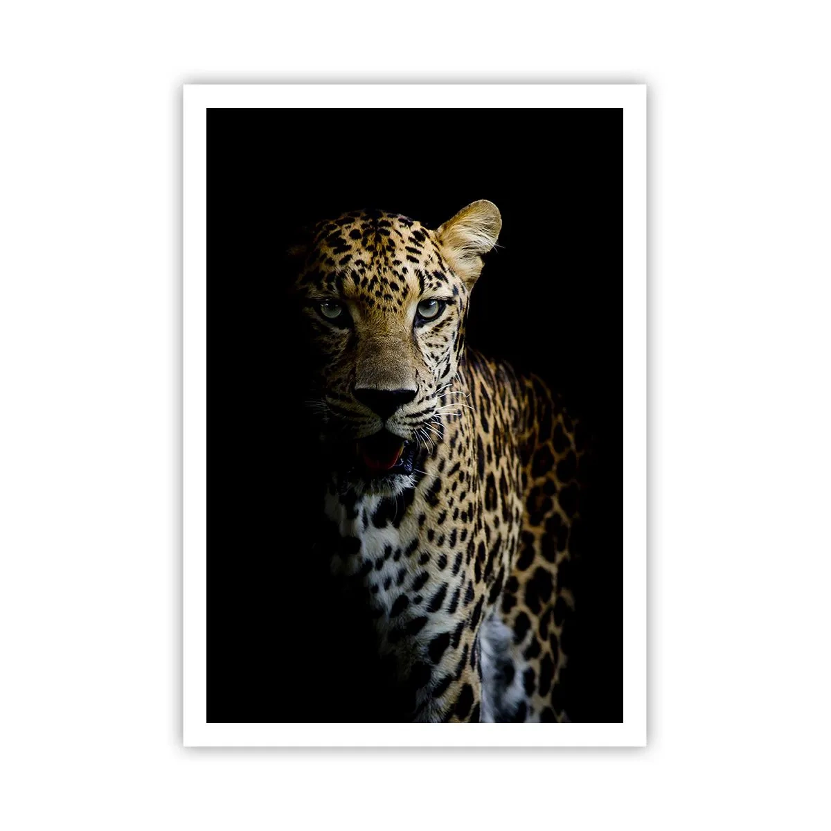 Poster - Dark Beauty - 70x100 cm