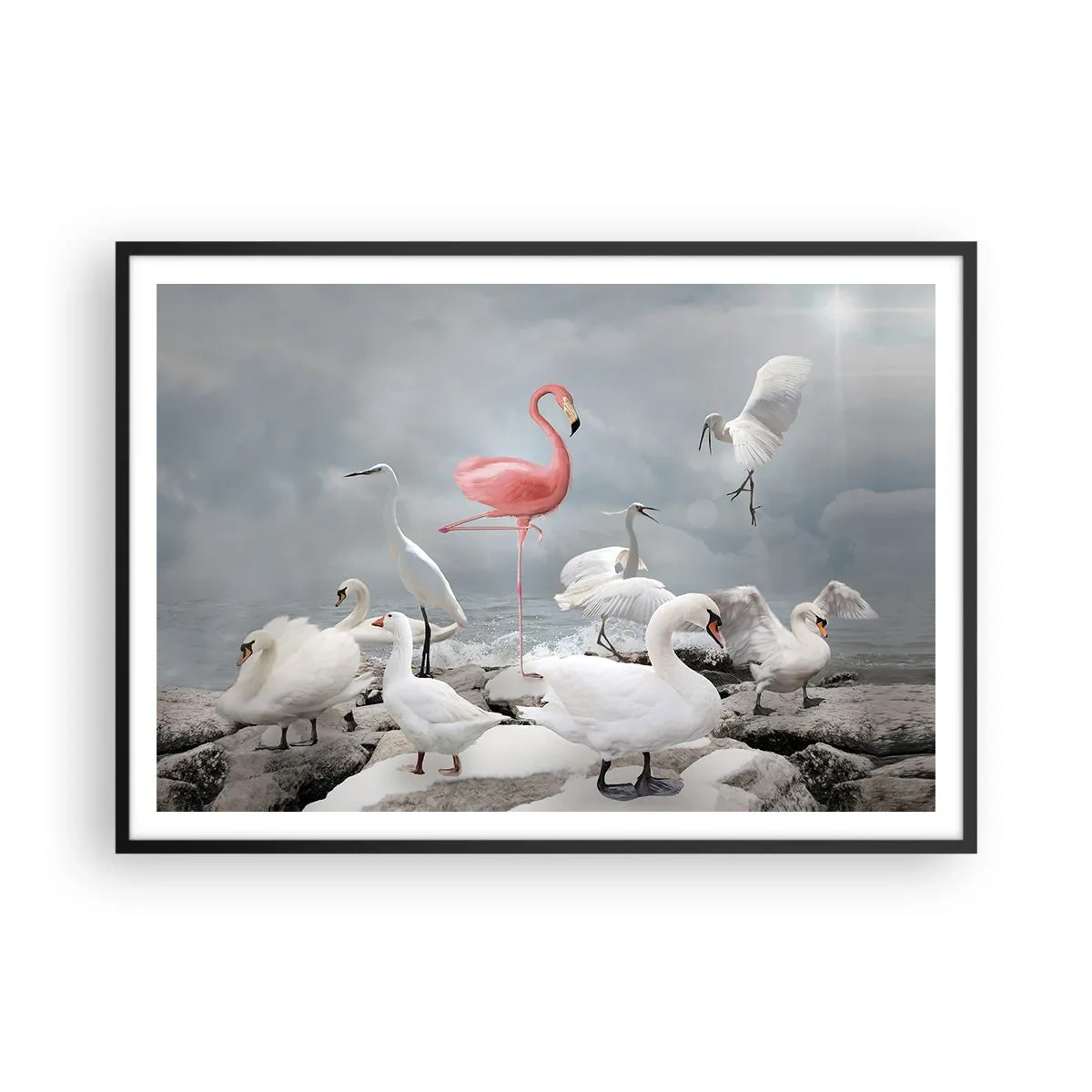 Poster in black frame - Where Did I Come from? - 100x70 cm