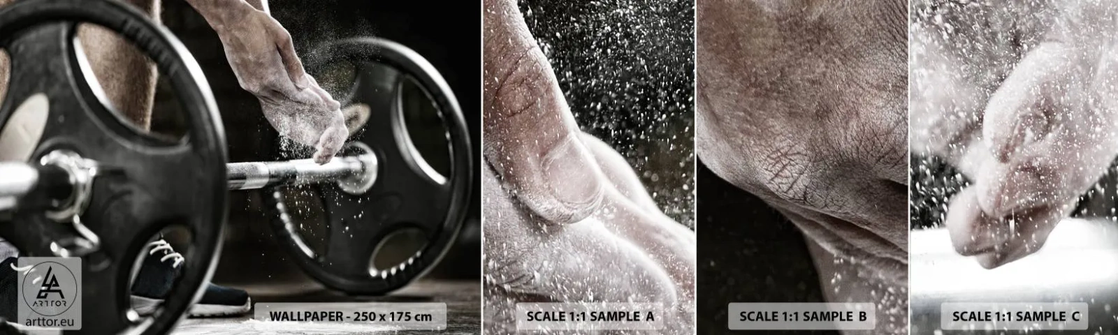 Photo Wallpaper Sample Standard Eco - Challenge Accepted! - Sport, Gym, Weightlifting - 100x30 cm