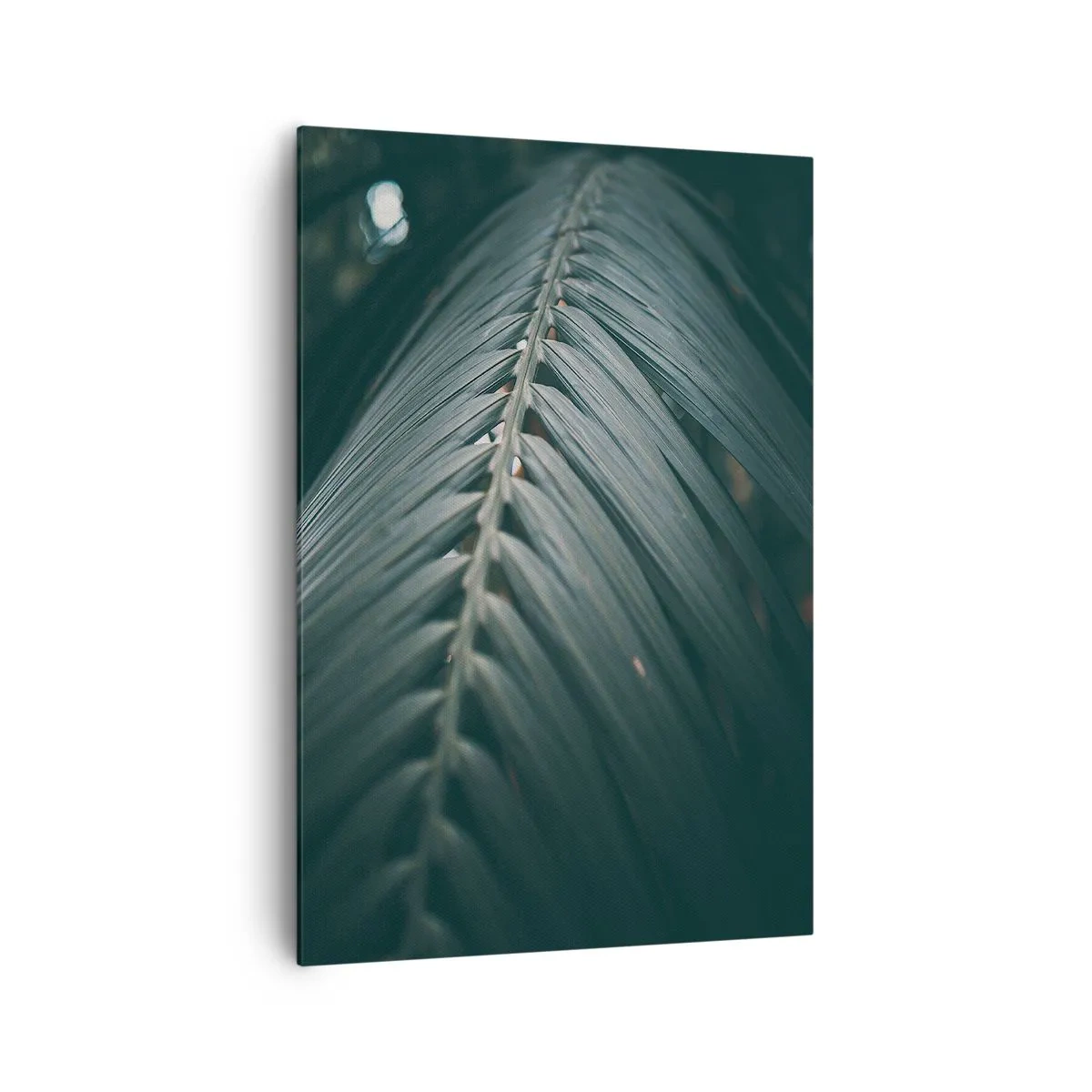 Canvas picture - Precision of Nature - 70x100 cm