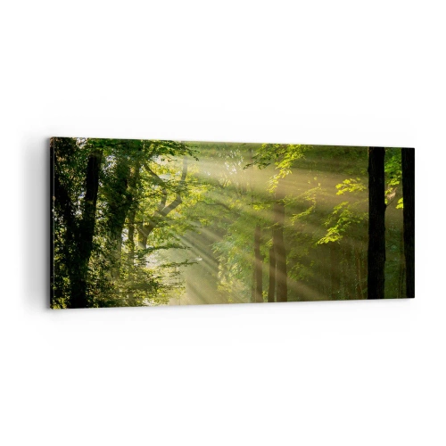 Canvas picture - Forest Moment - 100x40 cm