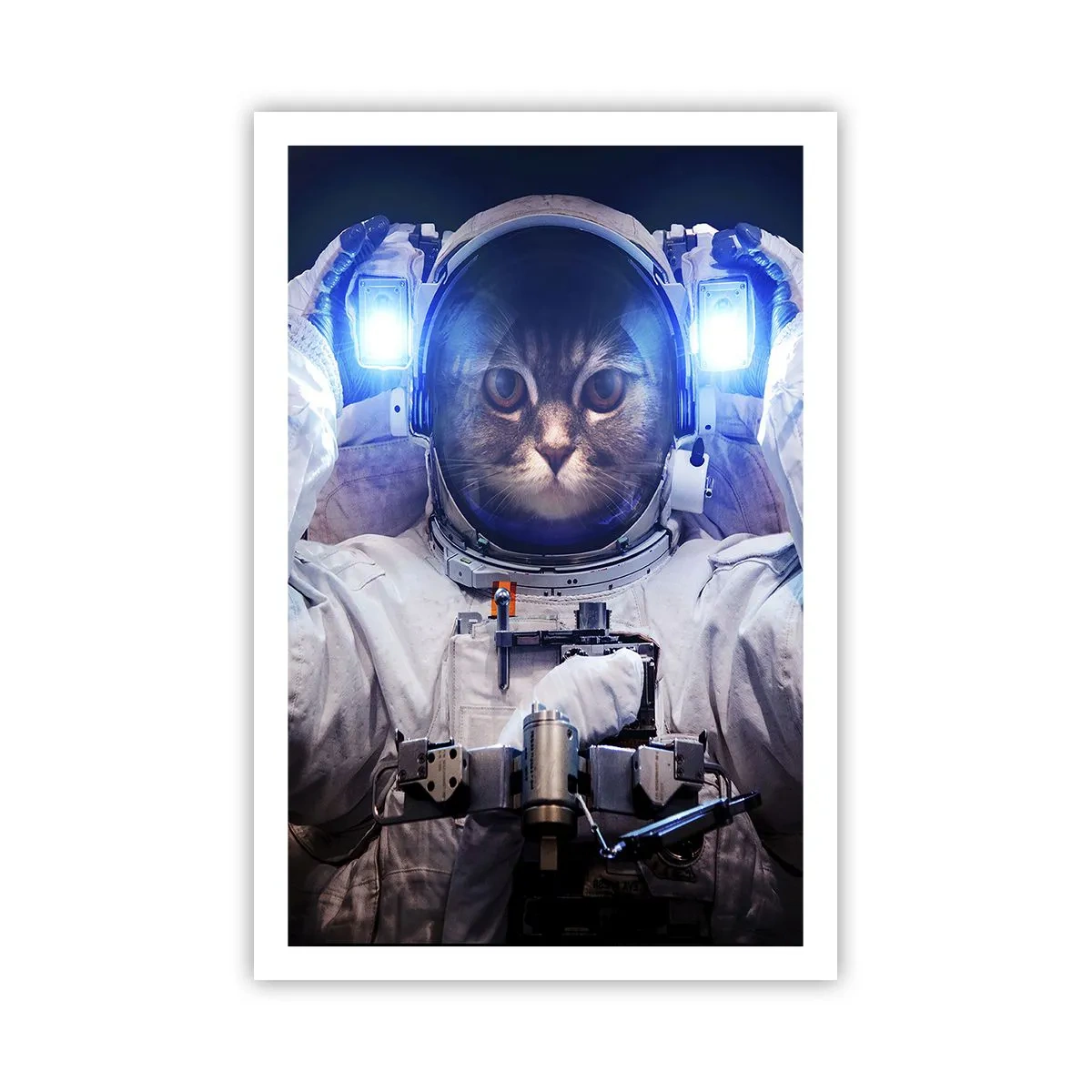 Poster - Houston, You've Got a Problem - 61x91 cm