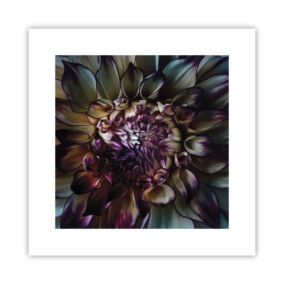 Poster - The Blossoming of Youth - 30x30 cm