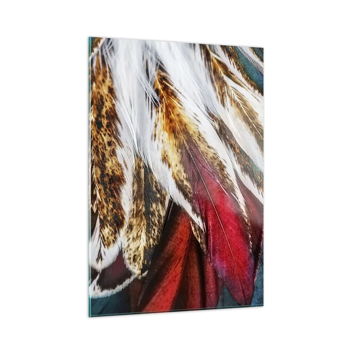 Glass picture - Secrets of Flight - 50x70 cm