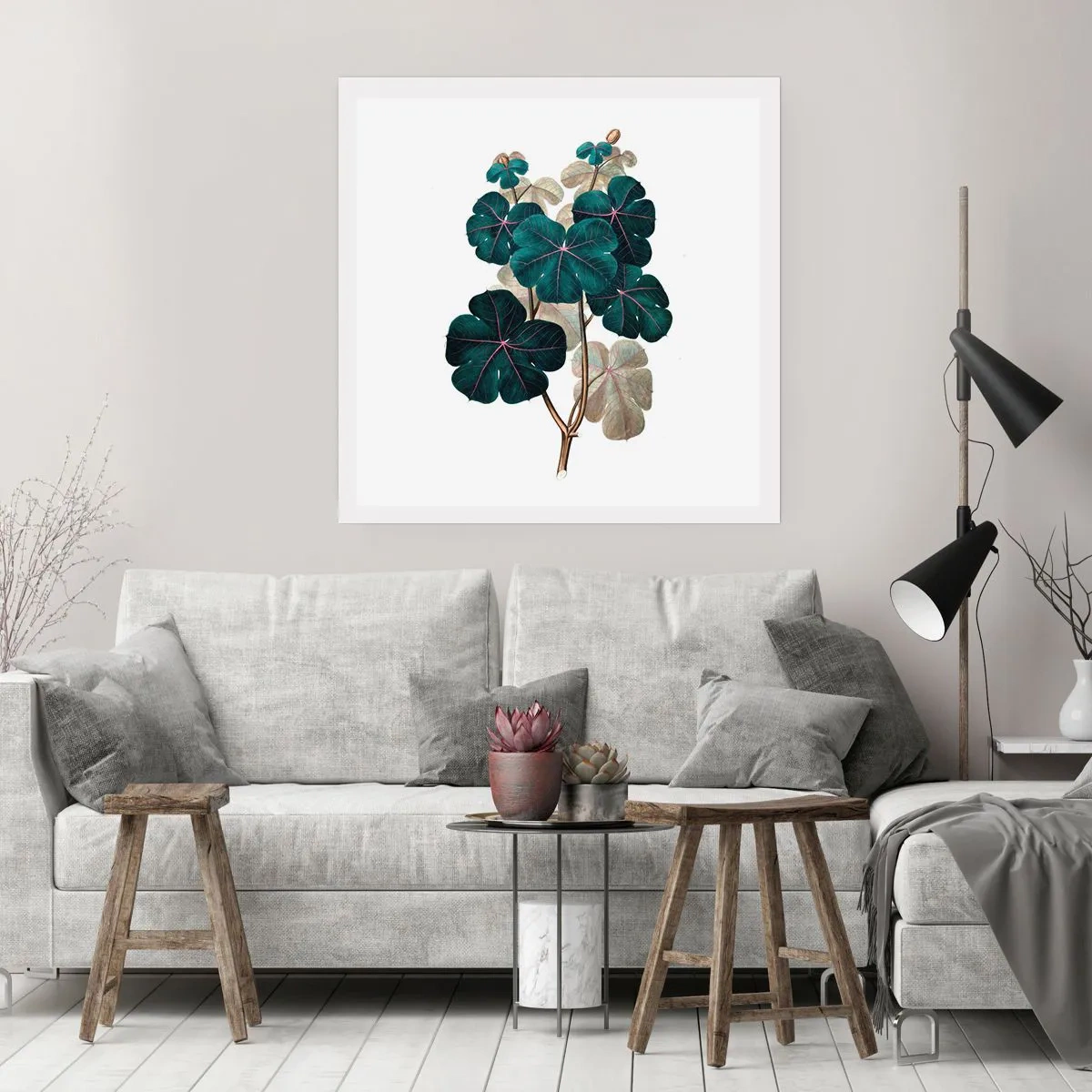 Poster - From the Old Herbarium - 50x50 cm