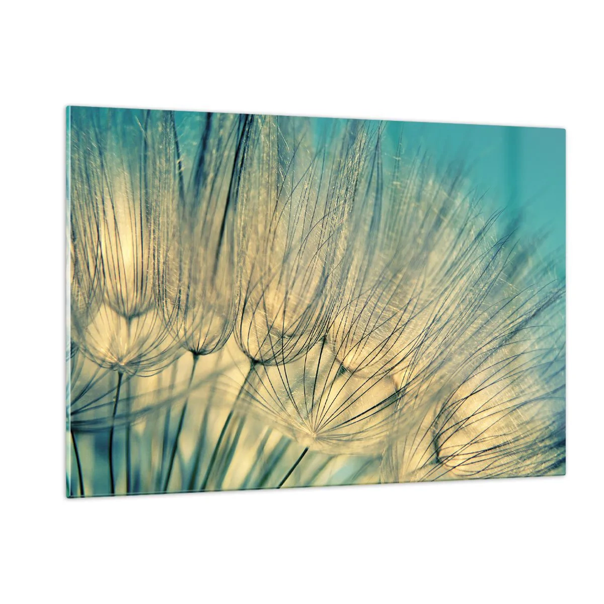 Glass picture - Waiting for the Wind - 120x80 cm