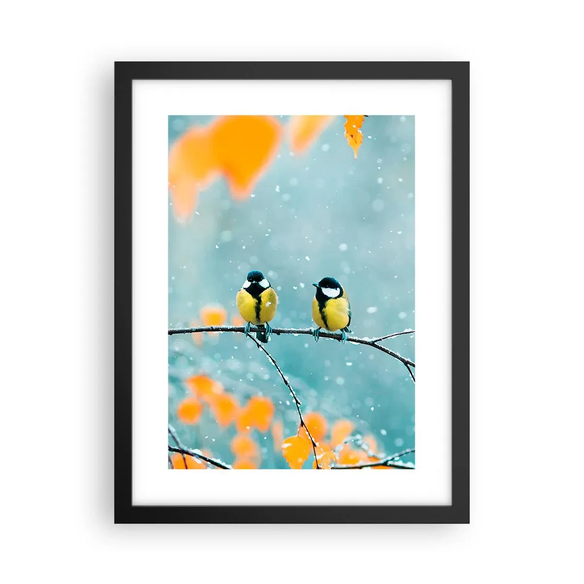 Poster in black frame - Birdy Gossip - 30x40 cm